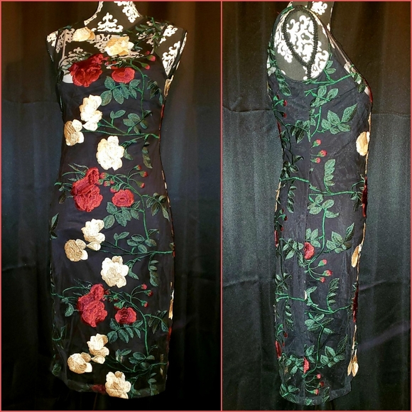 Calvin Klein Floral Embroidered Mesh Dress Sz 6 - Picture 1 of 6